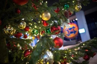 chrismastreeimperial